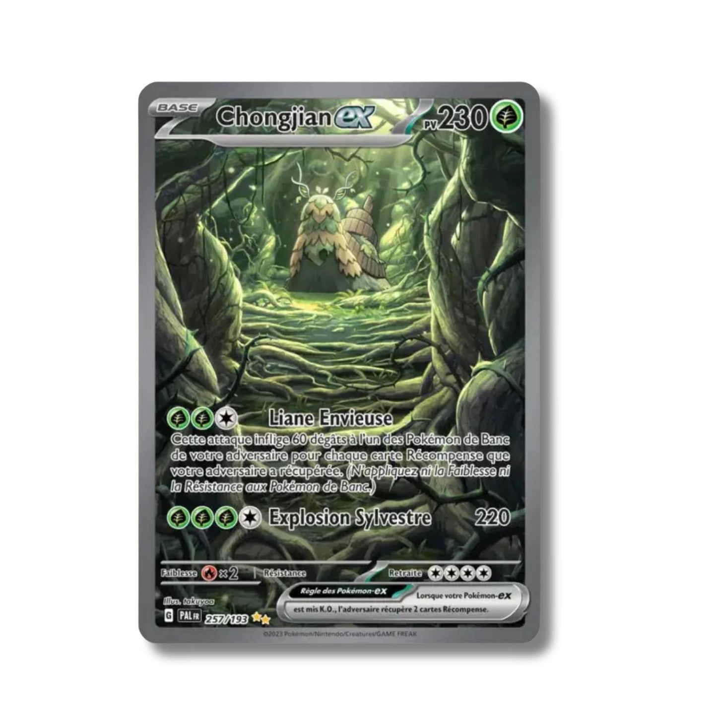 Chongjian EX 257/193