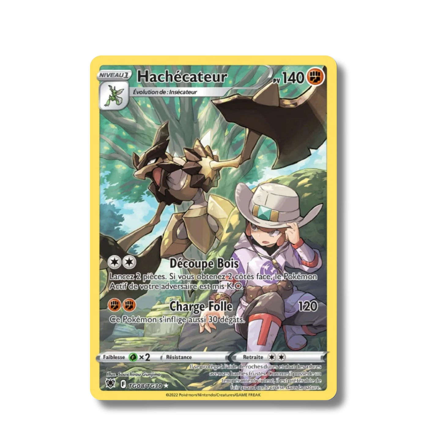 Hachécateur TG08/TG30