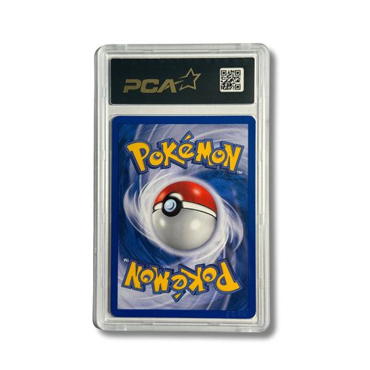 Zarbi D/28 - PCA 9,5