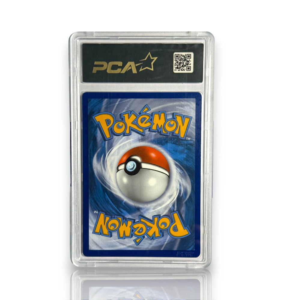 Sylveroy Cavalier d'Effroi VMAX FA 205/198 - PCA 9,5