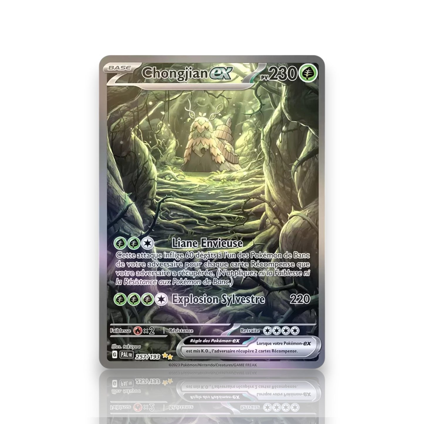 Chongjian EX 257/193