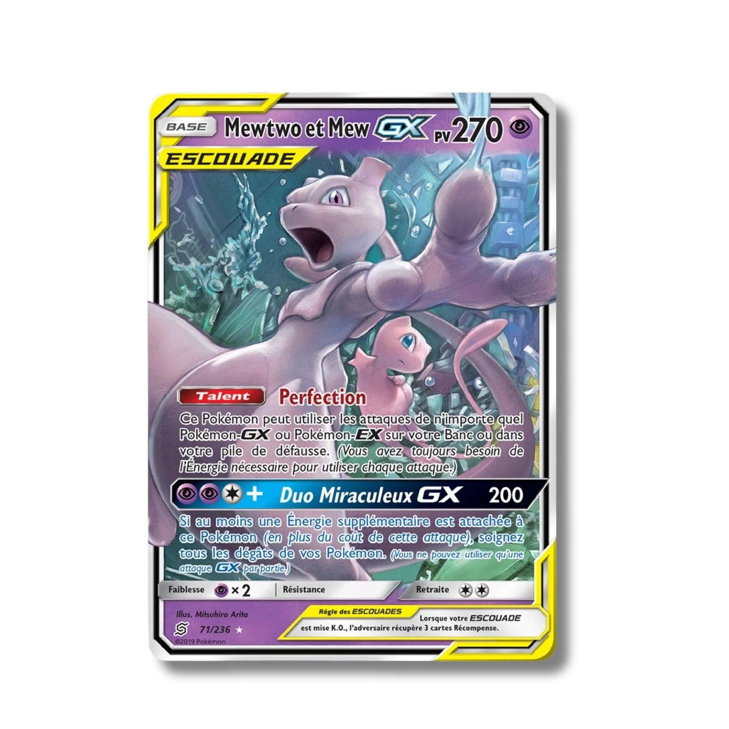 Mewtwo et Mew GX 71/236