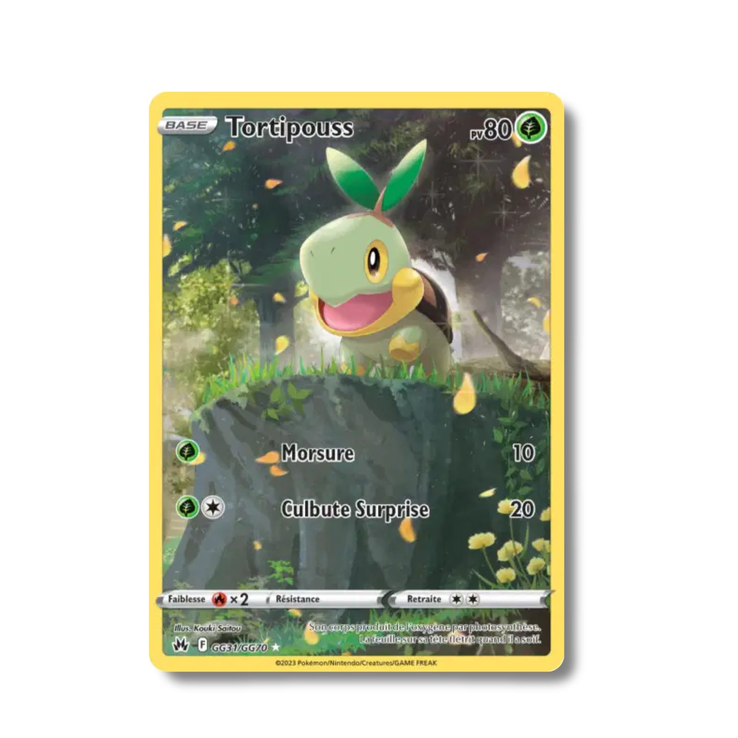 Tortipouss GG31/GG70