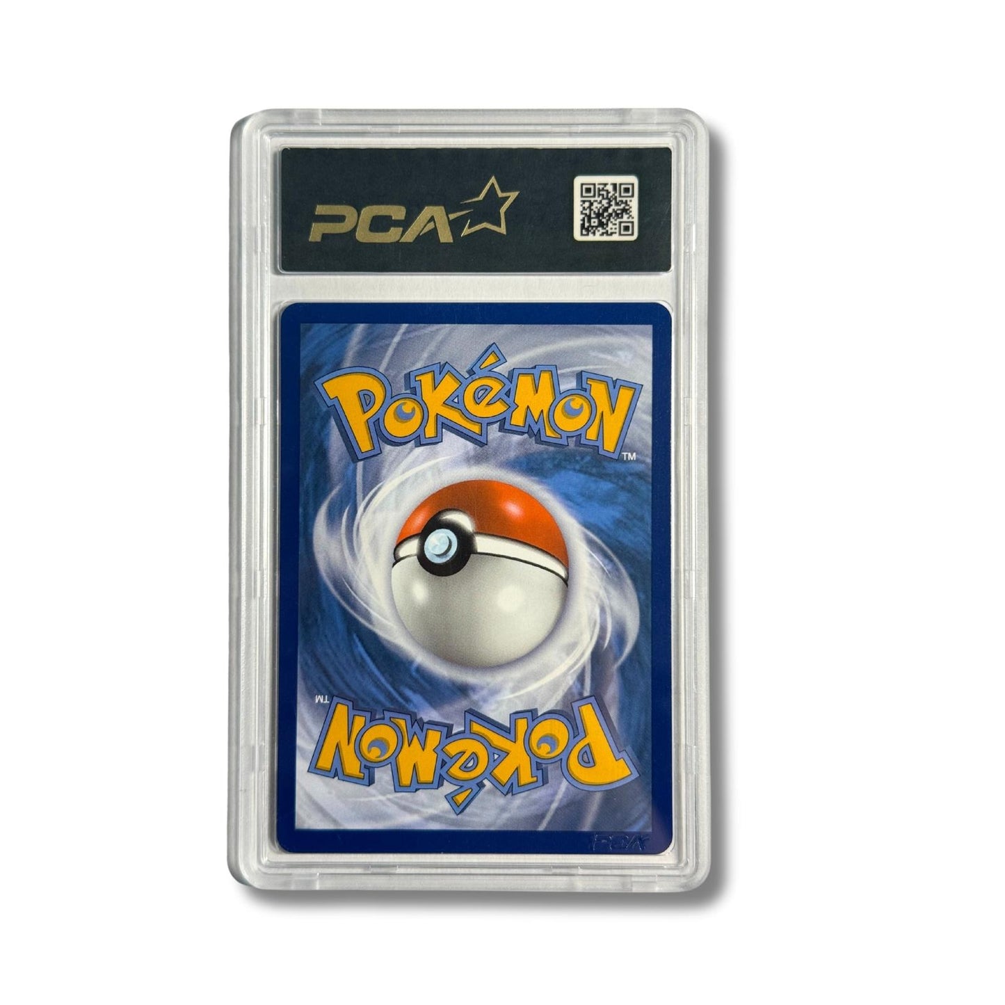 Sylveroy Cavalier d'Effroi VMAX FA 205/198 - PCA 9,5