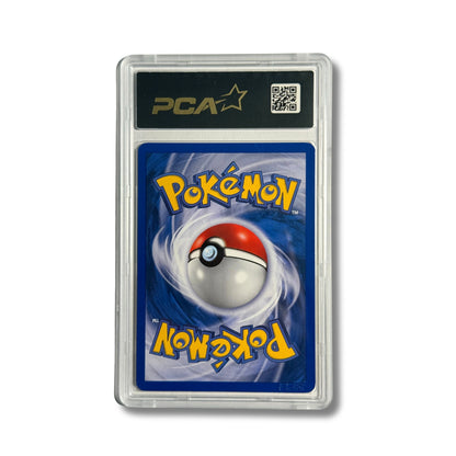 Zarbi D/28 - PCA 9,5