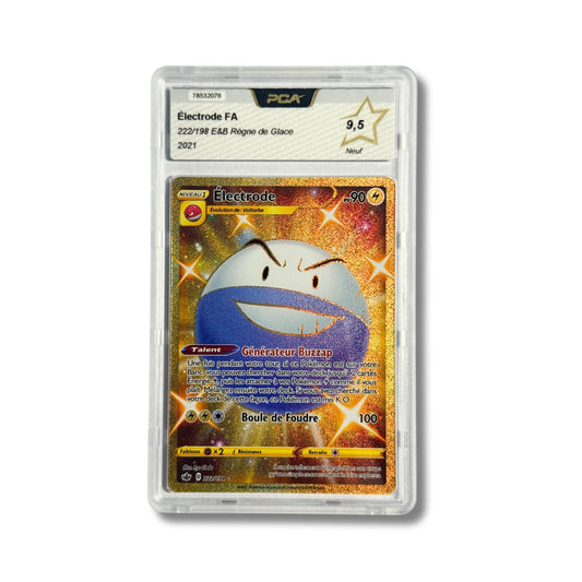 Électrode FA 222/198 - PCA 9,5
