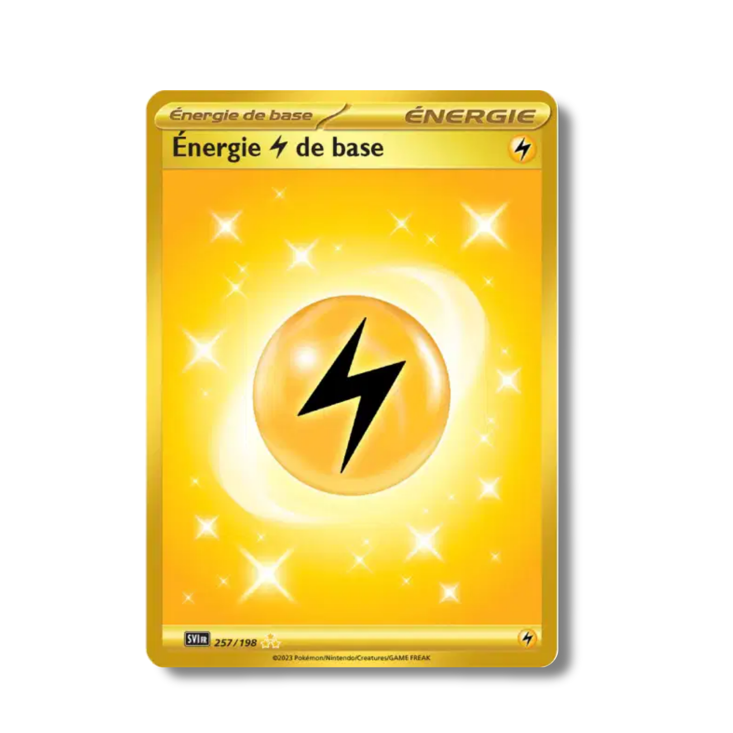 Énergie Électrique 257/198