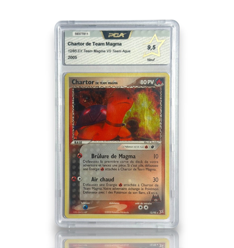 Chartor de Team Magma 12/95 - PCA 9,5