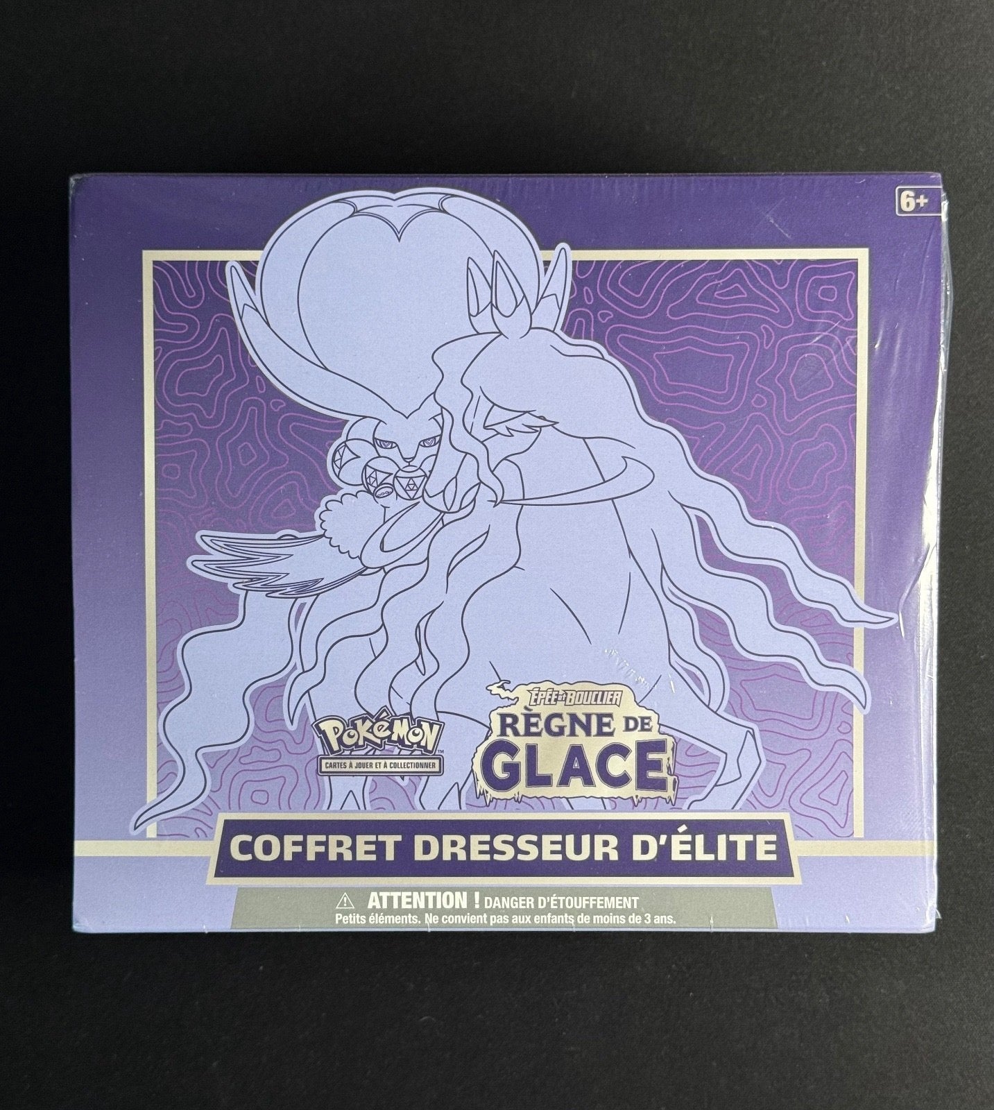 Coffret Dresseur d'Élite (ETB) – Épée et Bouclier : Règne de Glace (EB06)