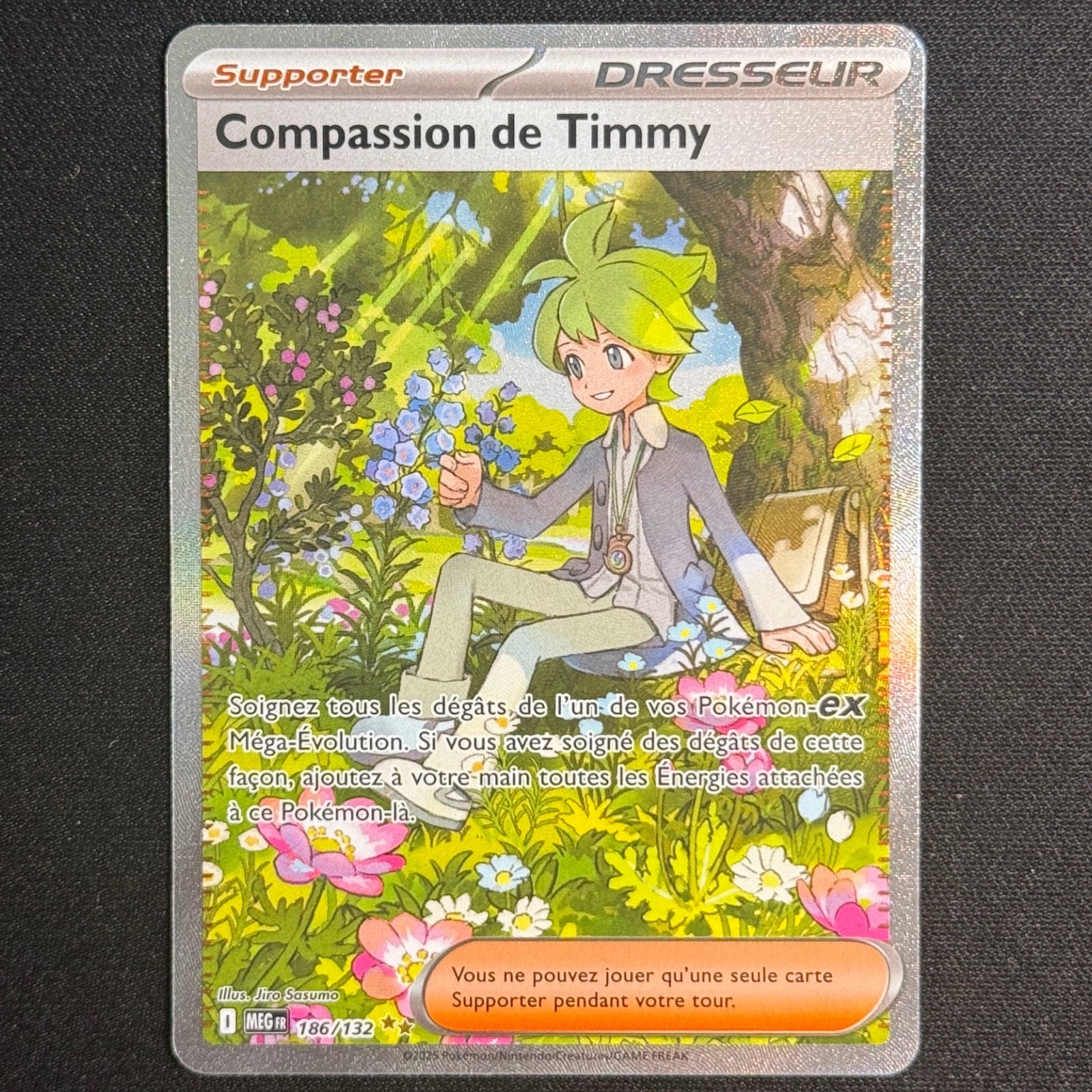Compassion de Timmy 186/132 - Méga-Évolution de Base