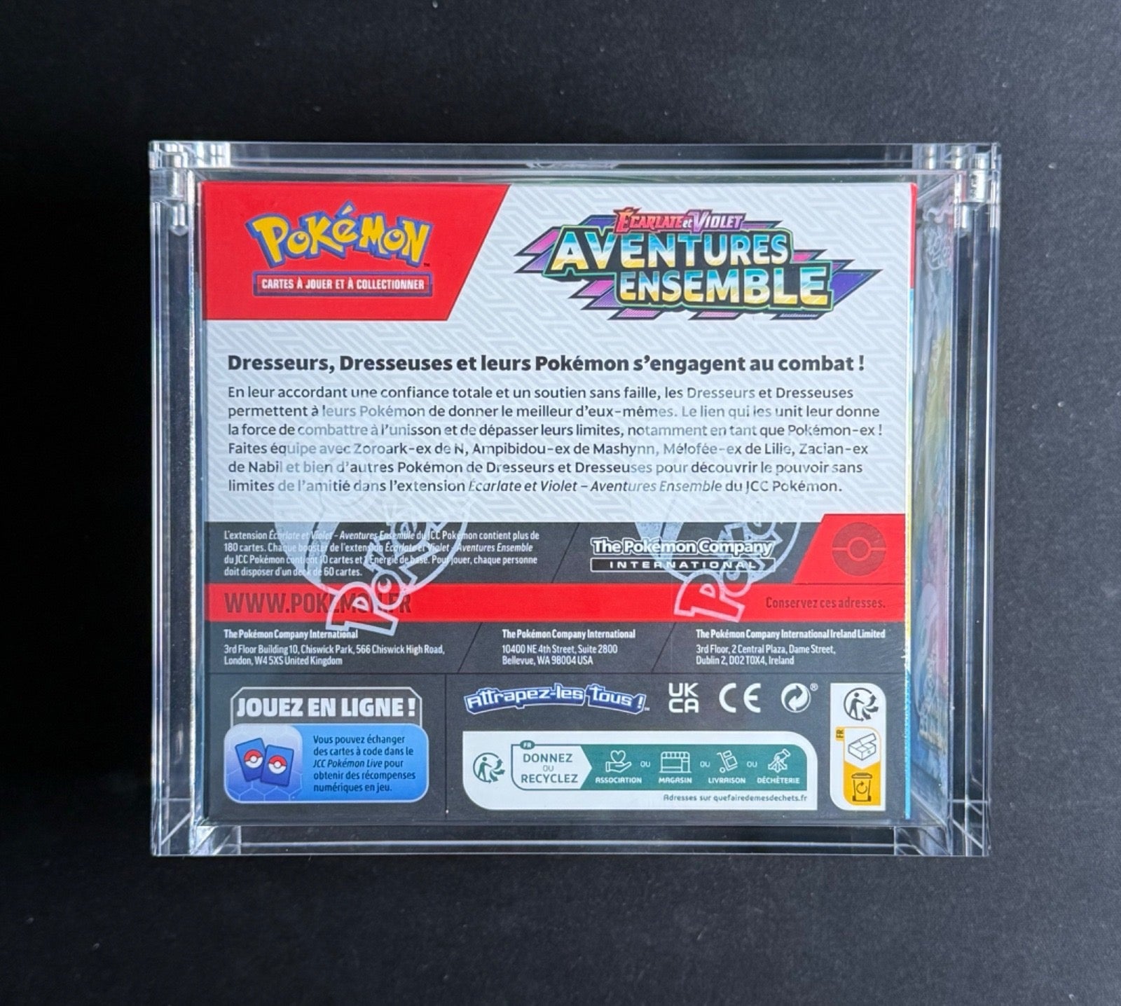 Display – Écarlate et Violet : Aventures Ensemble (EV09)