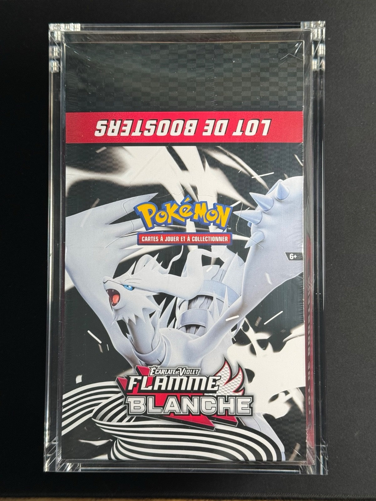 Display Bundle – Écarlate et Violet : Flamme Blanche (EV10.5)