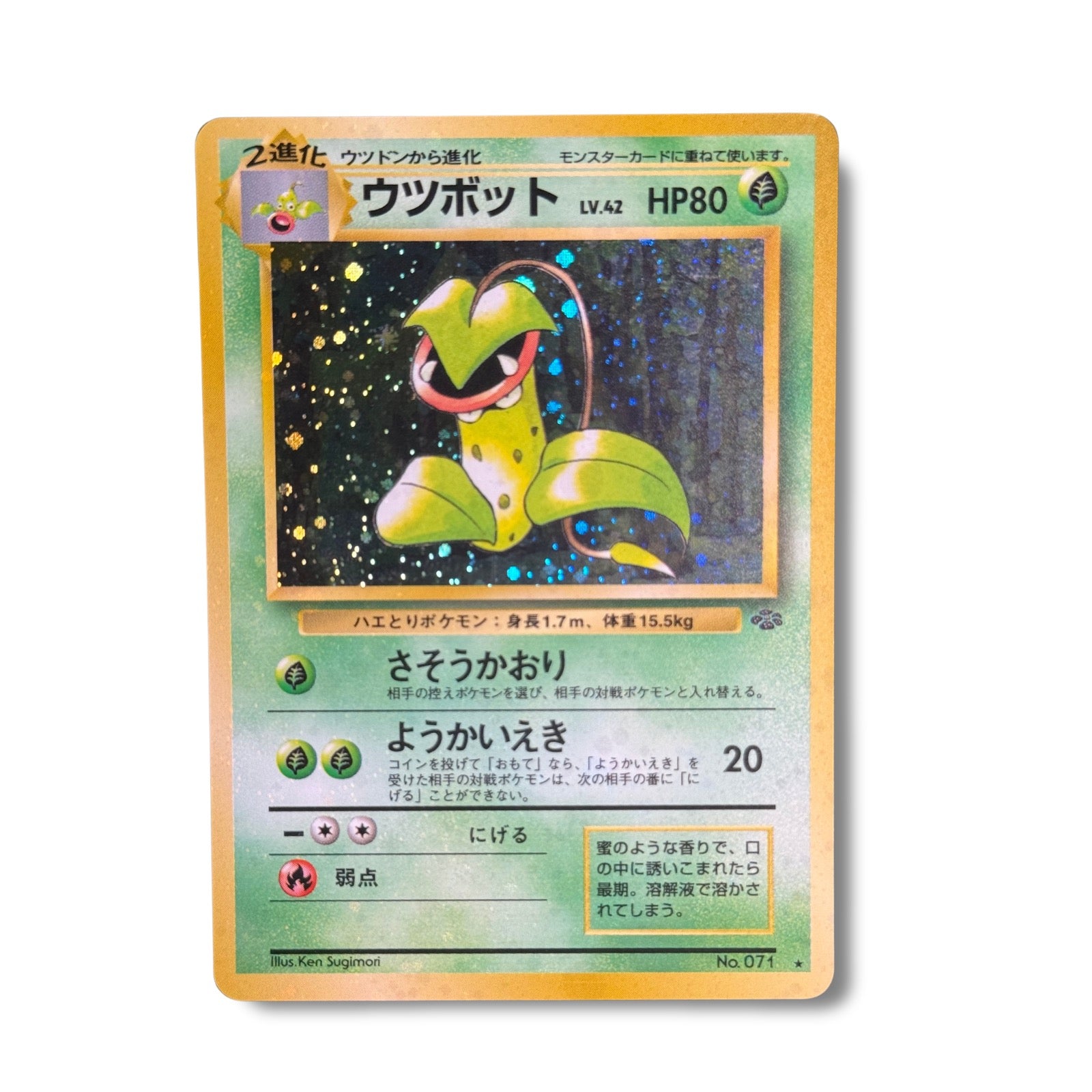 Empiflor No.071 - Jungle