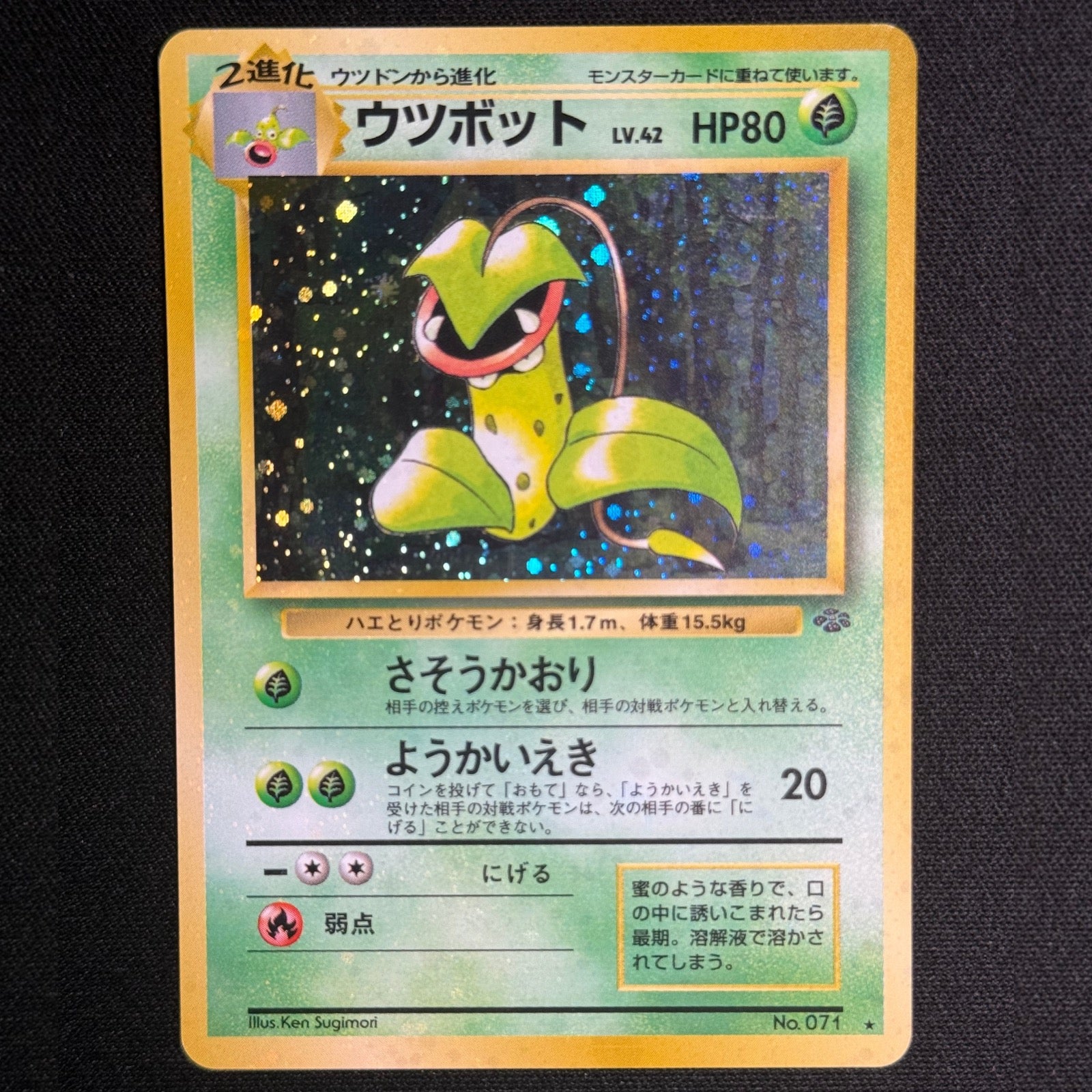 Empiflor No.071 - Jungle
