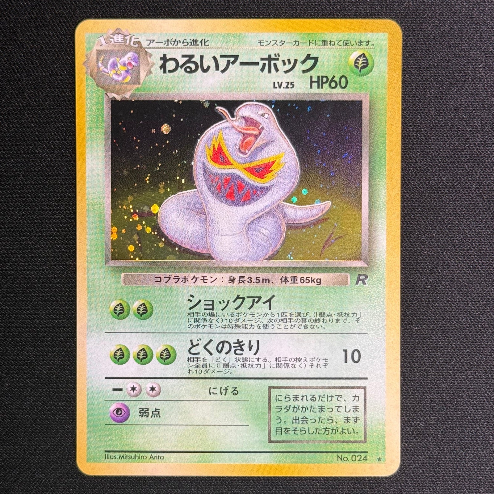 Arbok Obscur No.024 - Rocket Gang