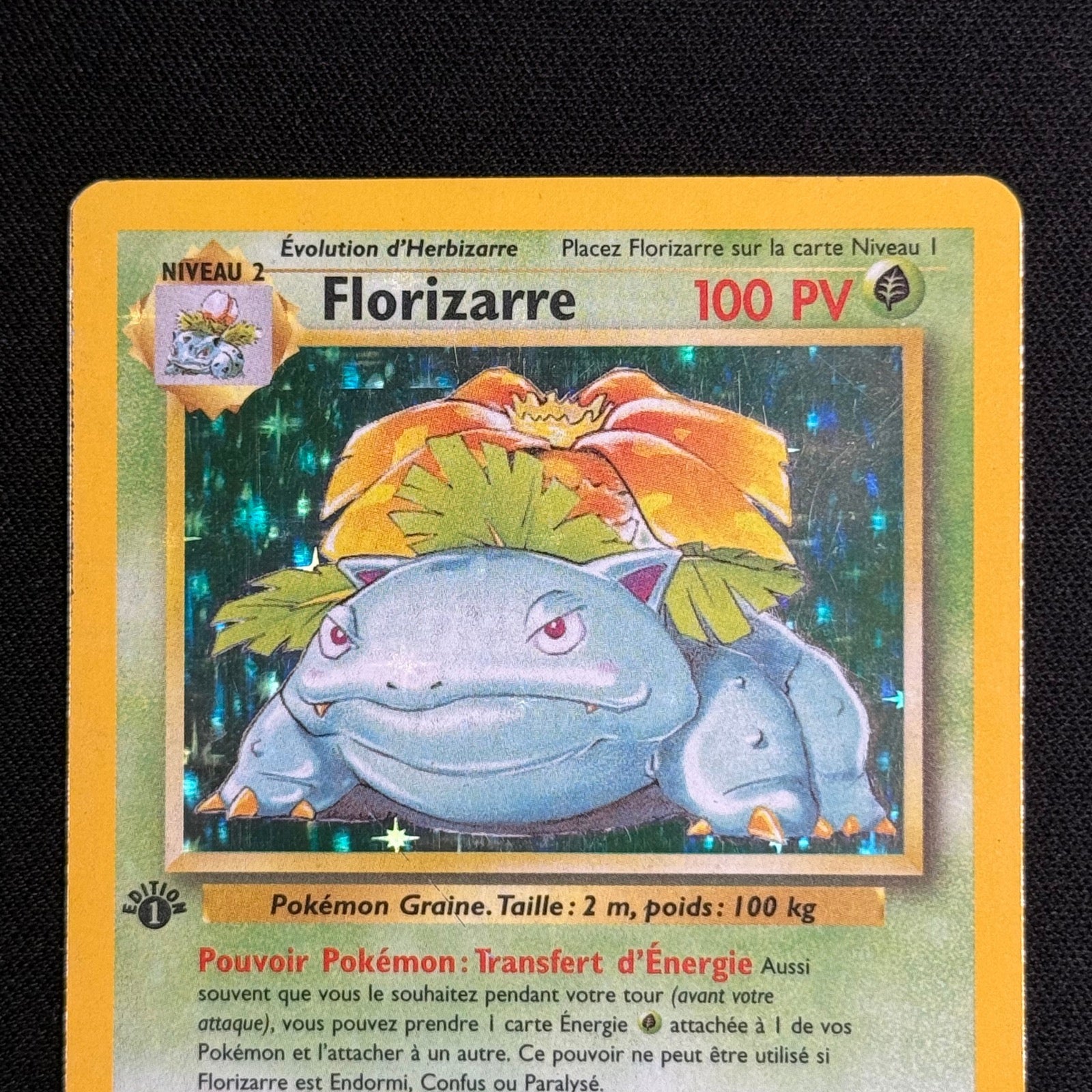 Florizarre Holographique Ed.1 15/102 - Set de Base