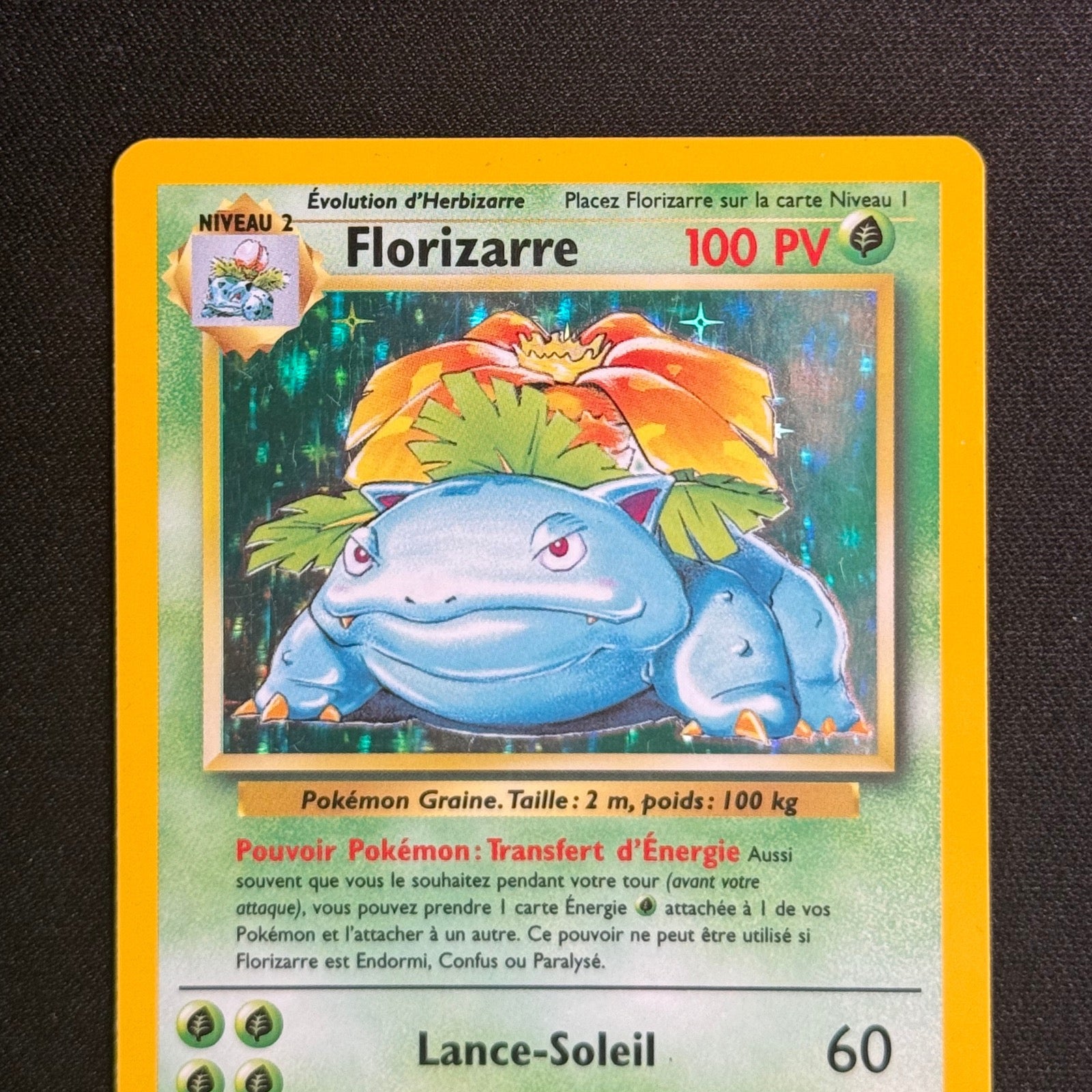 Florizarre Holographique 15/102 - Set de Base