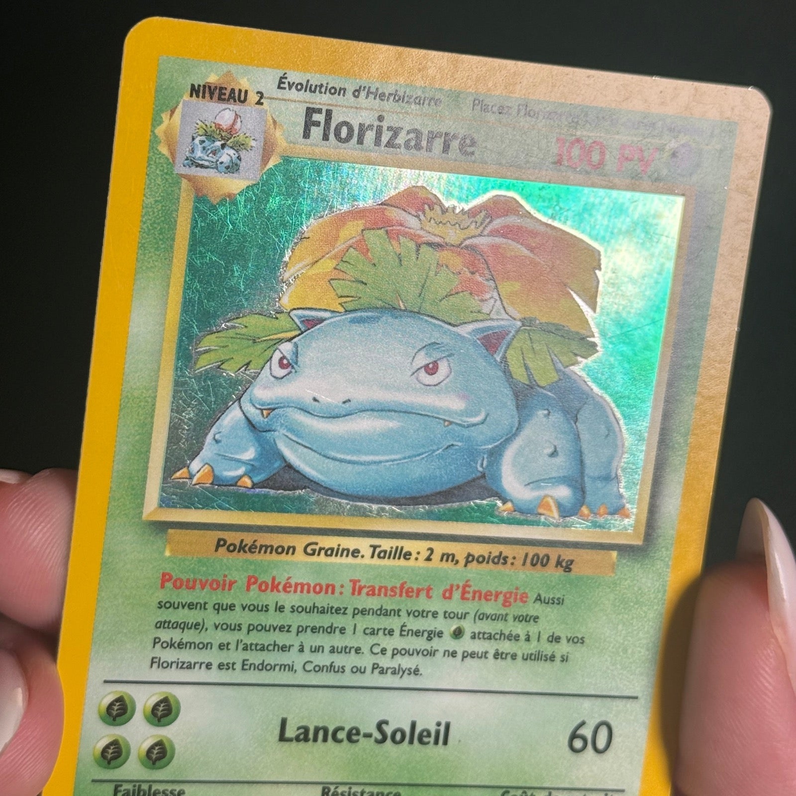 Florizarre Holographique 15/102 - Set de Base