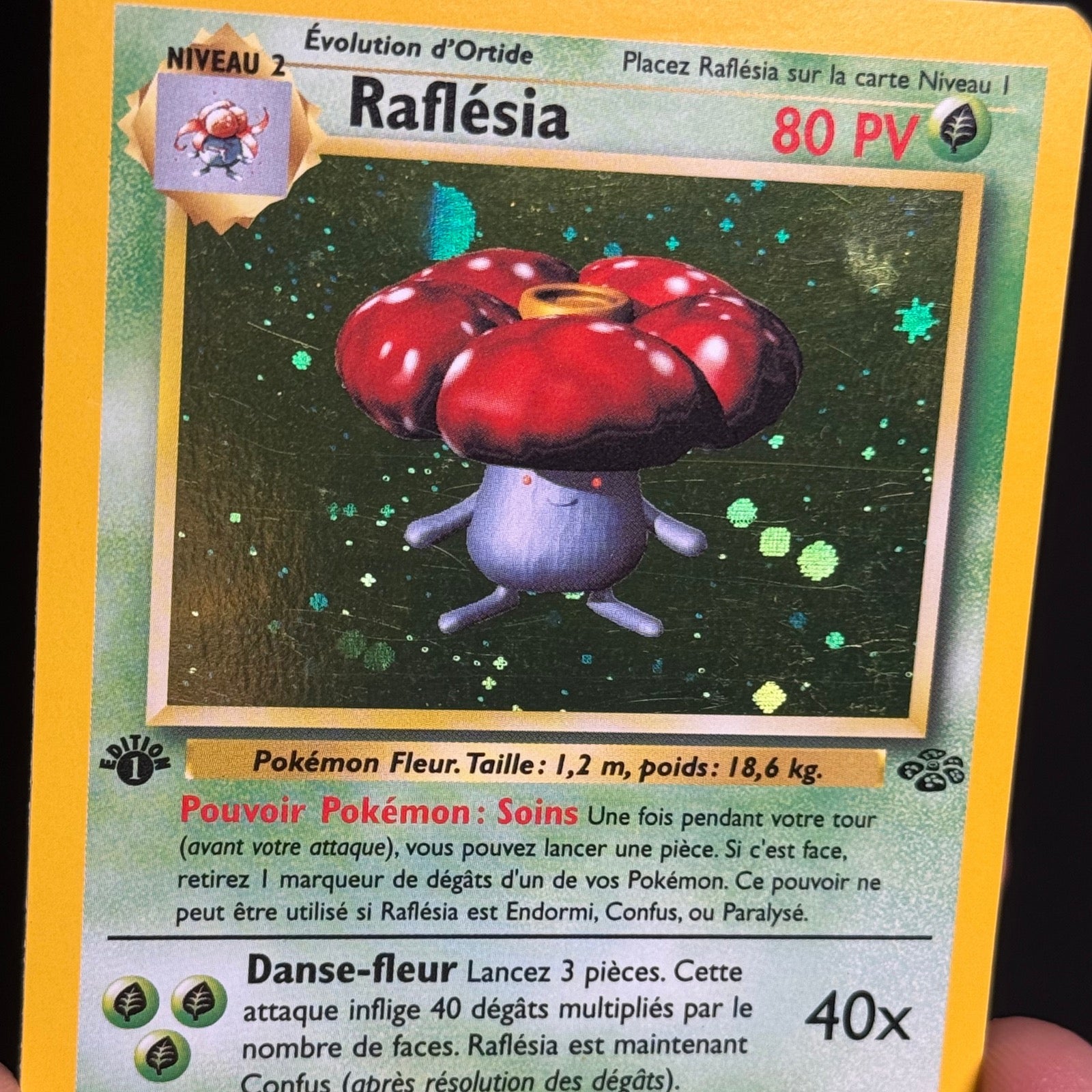 Raflésia Holographique Ed.1 15/64 - Jungle