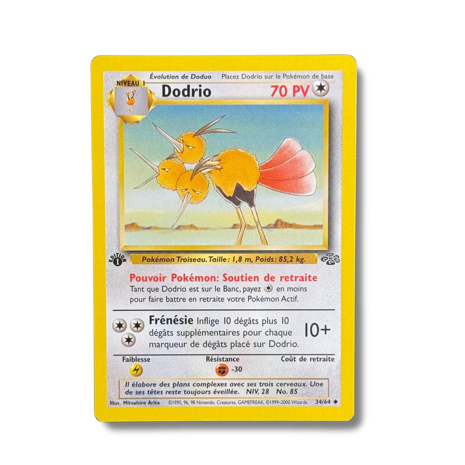 Dodrio Ed.1 34/64 - Jungle