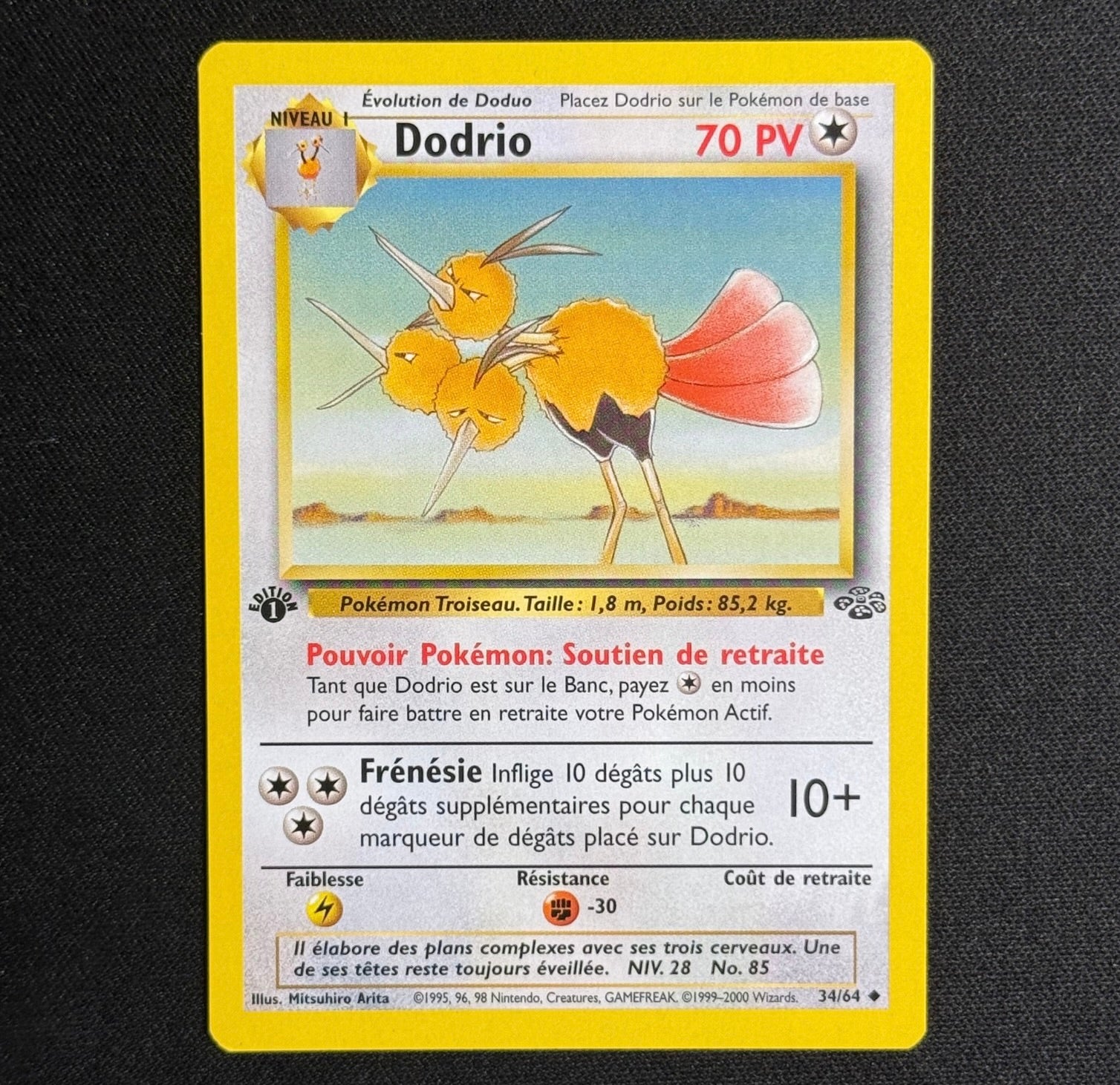 Dodrio Ed.1 34/64 - Jungle