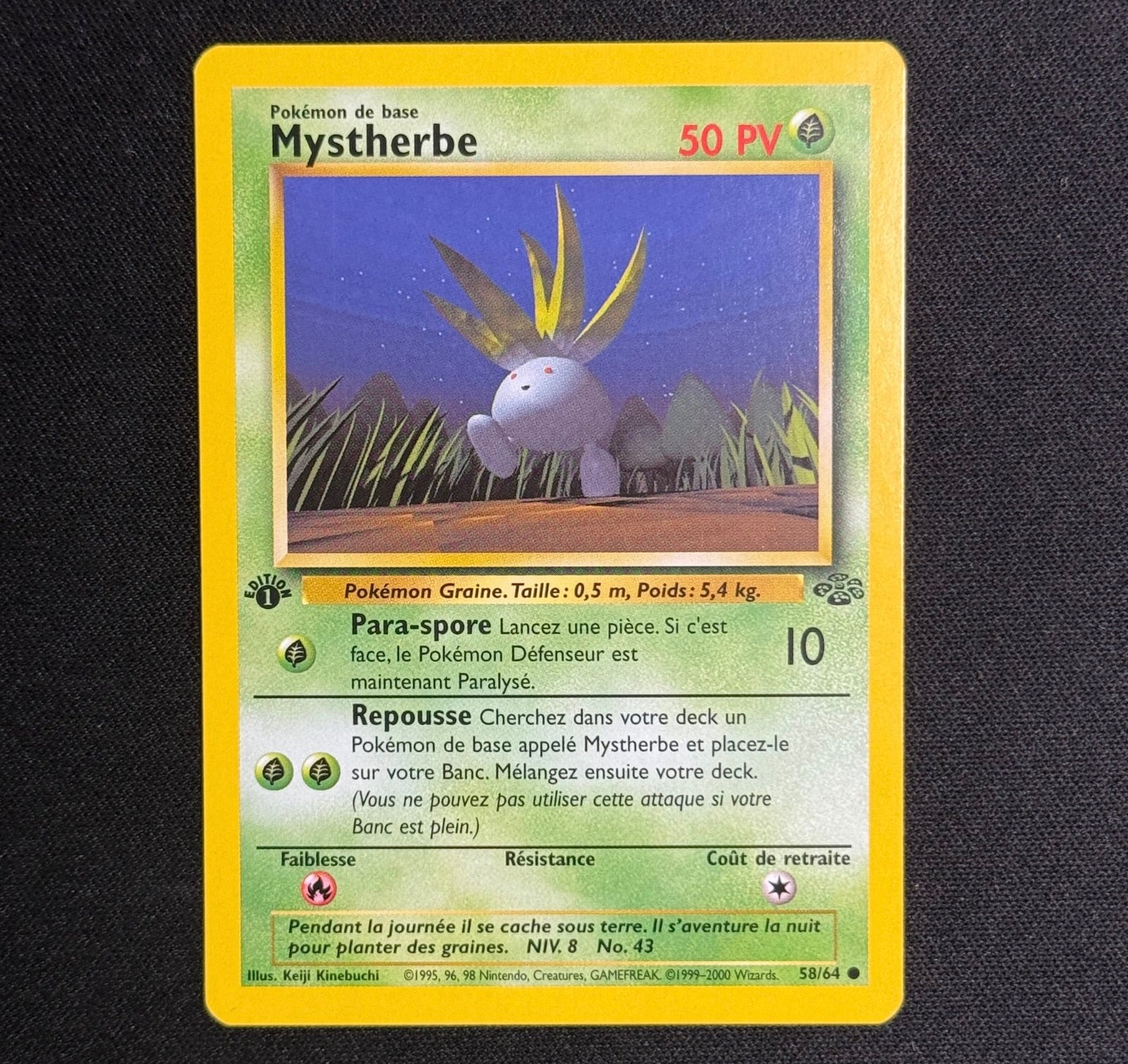 Mystherbe Ed.1 58/64 - Jungle