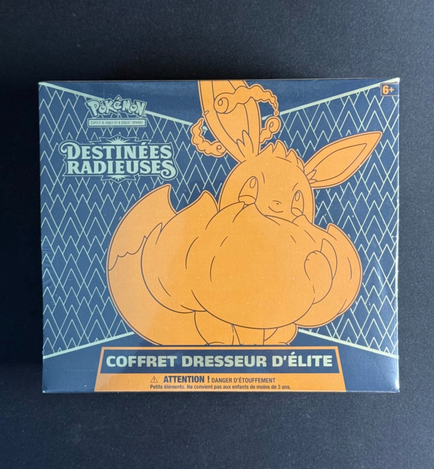 Coffret Dresseur d'Élite (ETB) – Épée et Bouclier : Destinées Radieuses (EB4.5)