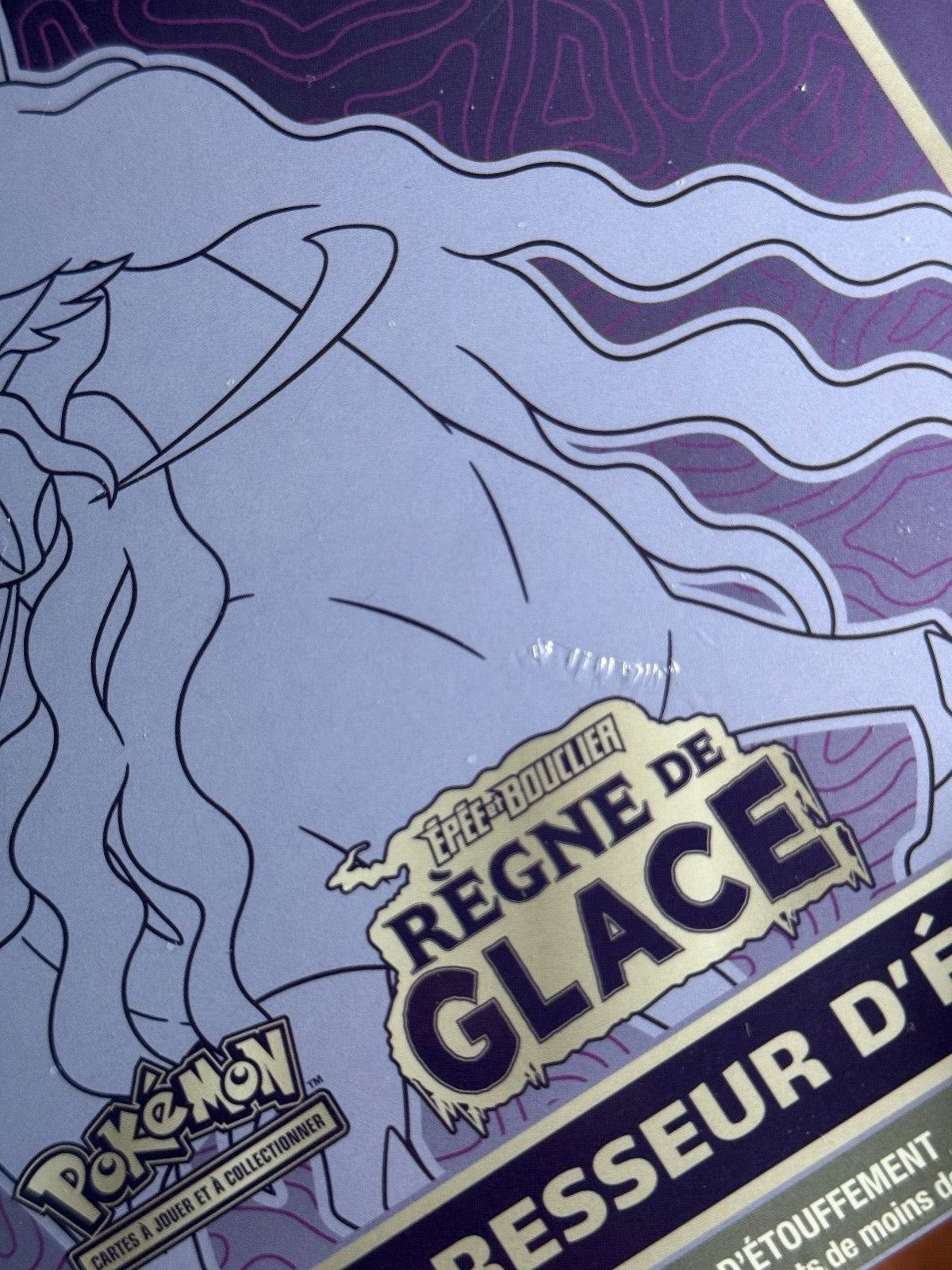 Coffret Dresseur d'Élite (ETB) – Épée et Bouclier : Règne de Glace (EB06)