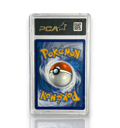 Sylveroy Cavalier d'Effroi VMAX FA 205/198 - PCA 9,5